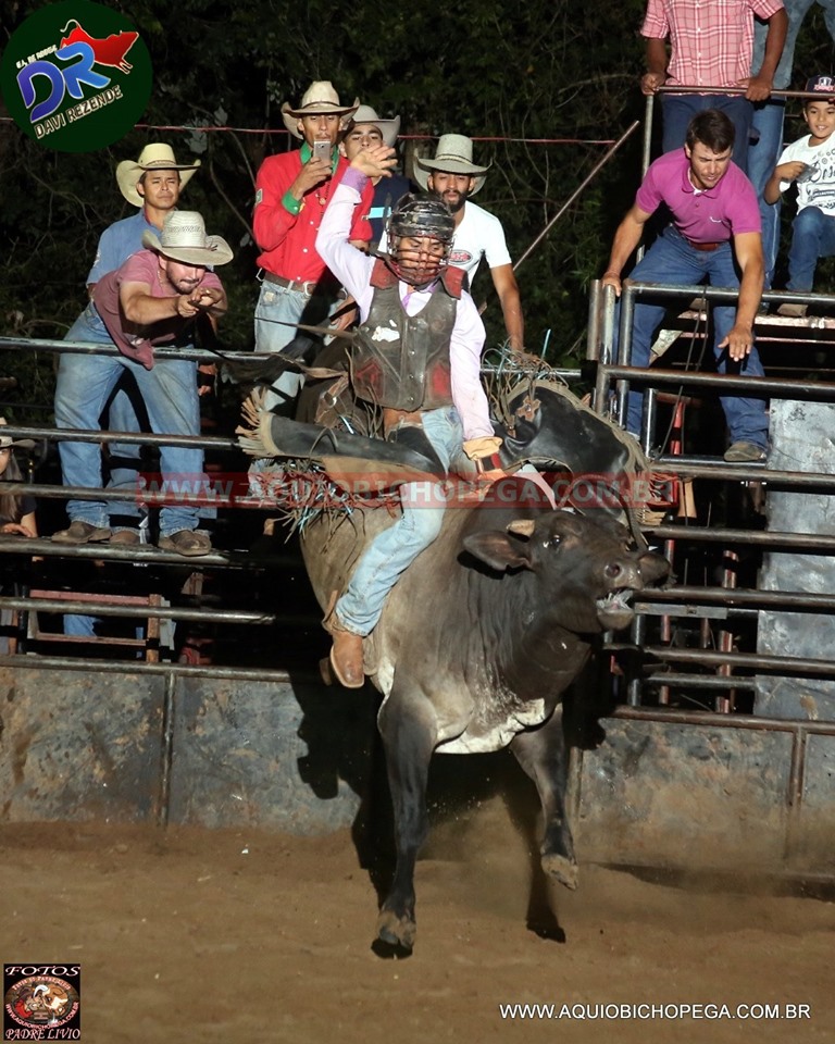 Chapolim Rodeio Camapuã: Rodeio Qualify alegrou o público e contou com a presença de um ...